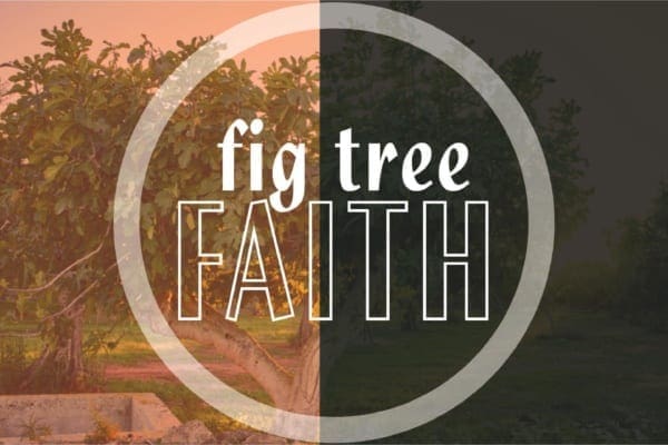 Fig Tree Faith sermon logo - fig tree in back ground
